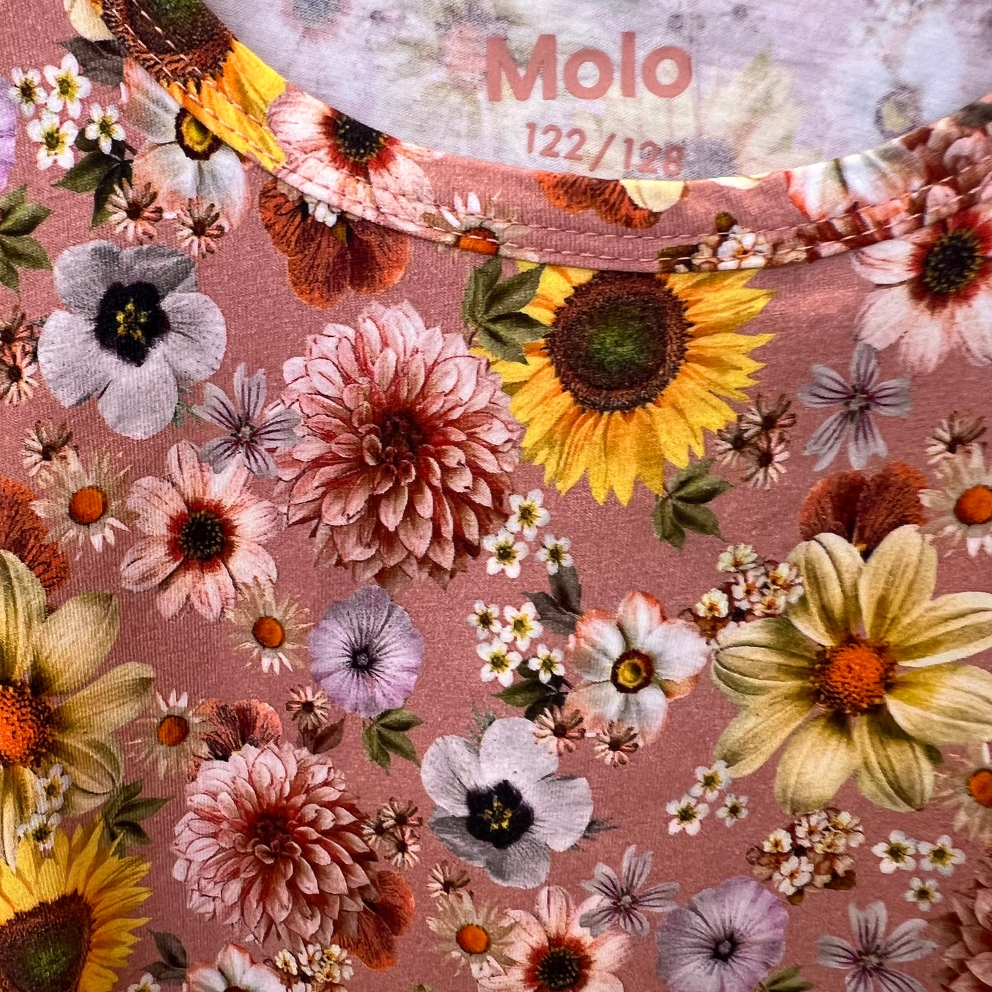 Molo | Top | 7